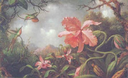 Martin Johnson Heade Hummingbirds and Two Varieties of Orchids china oil painting image